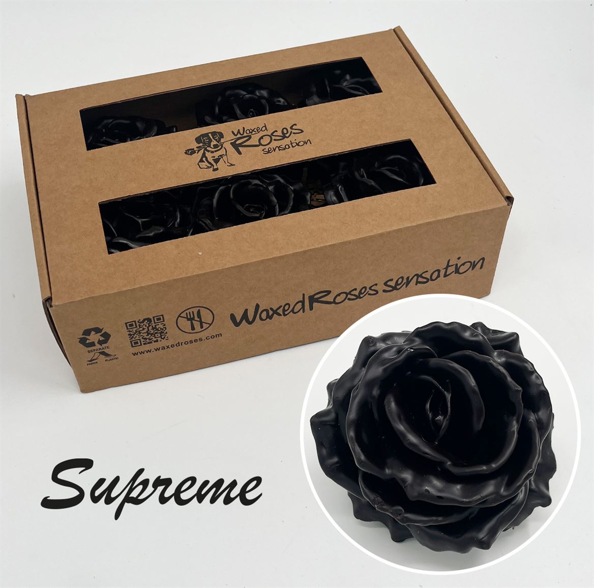 Срезанные цветы оптом Rosa large silk wax choccola от 6шт из Голландии с доставкой по России
