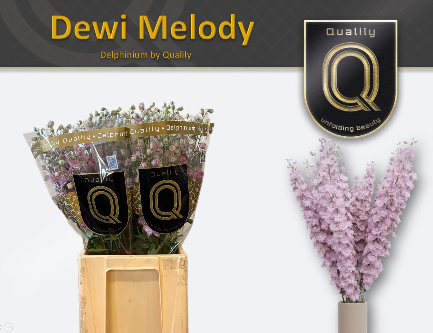 Срезанные цветы оптом Delphinium do el dewi melody от 60шт из Голландии с доставкой по России