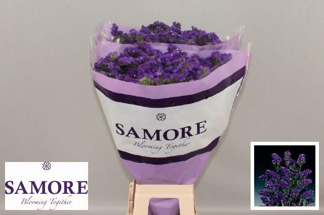 Срезанные цветы оптом Statice aqua sun birds от 50шт из Голландии с доставкой по России