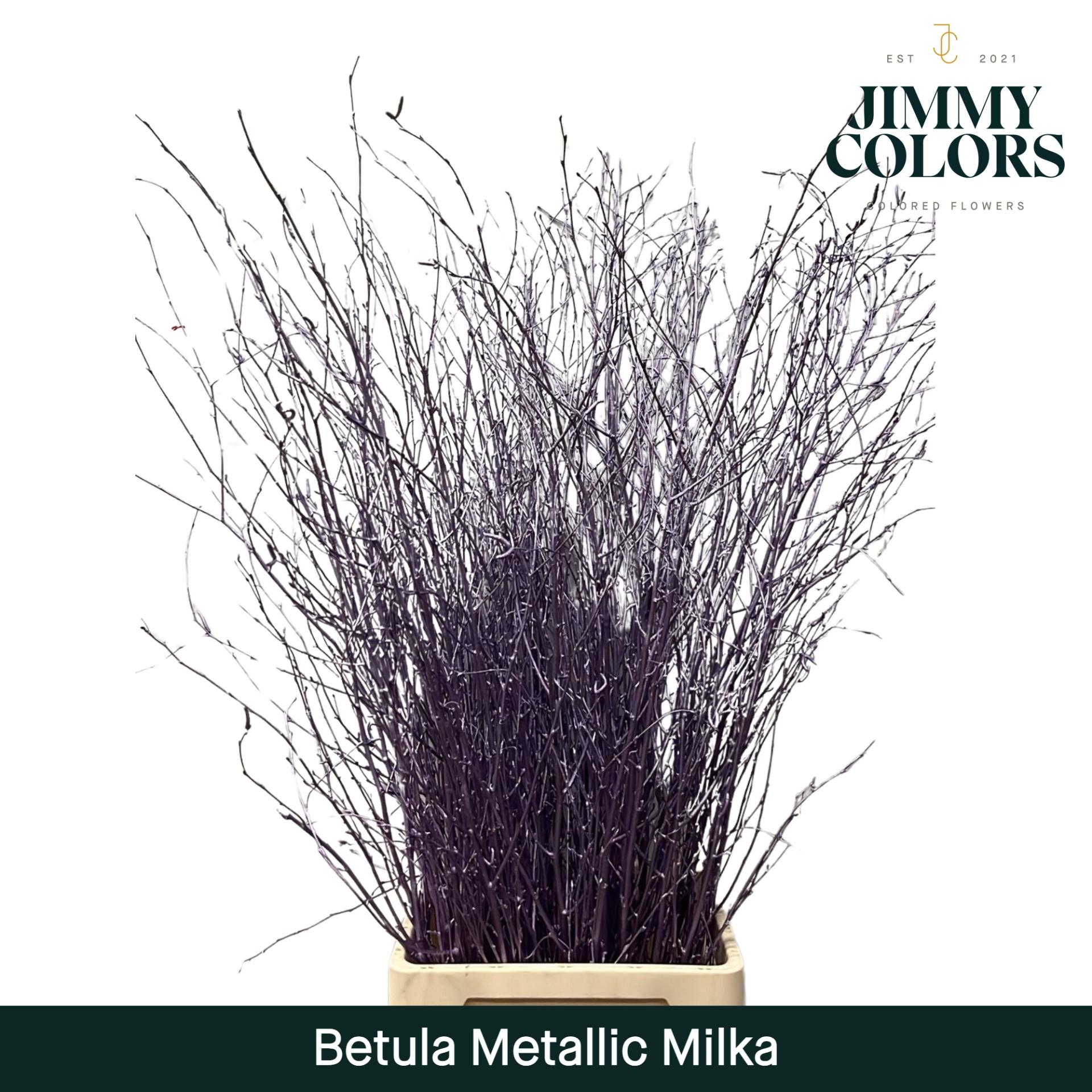 Срезанные цветы оптом Betula paint metallic milka от 10шт из Голландии с доставкой по России
