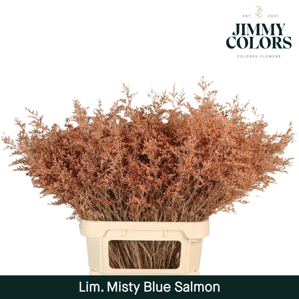 Срезанные цветы оптом Limonium misty blue paint salmon от 50шт из Голландии с доставкой по России