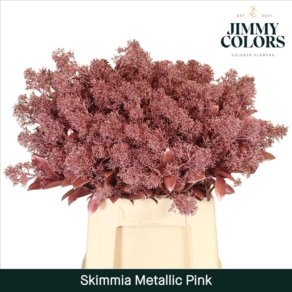 Срезанные цветы оптом Skimmia paint pink metallic + glitter от 10шт из Голландии с доставкой по России