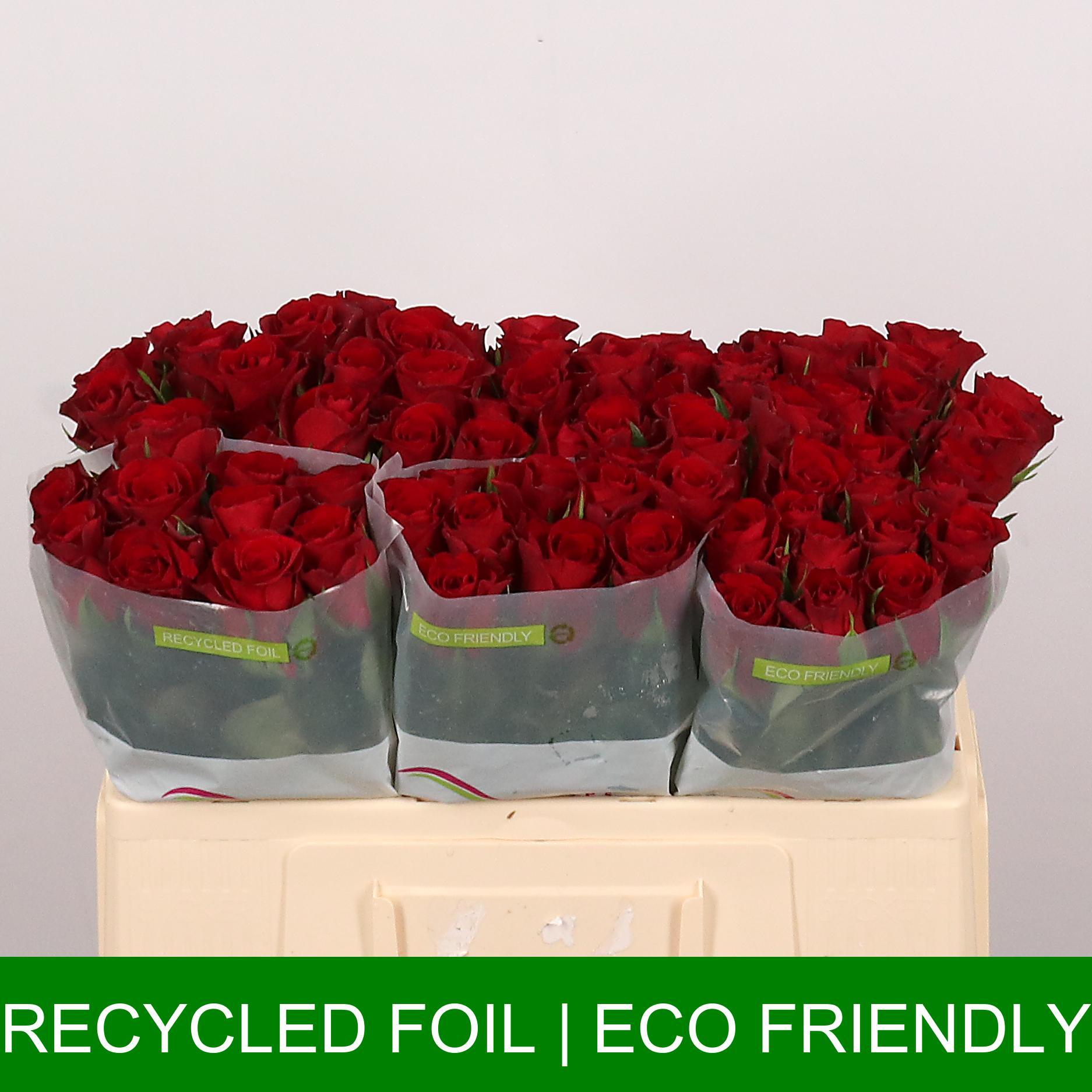 Срезанные цветы оптом Rosa large red promise от 60шт из Голландии с доставкой по России