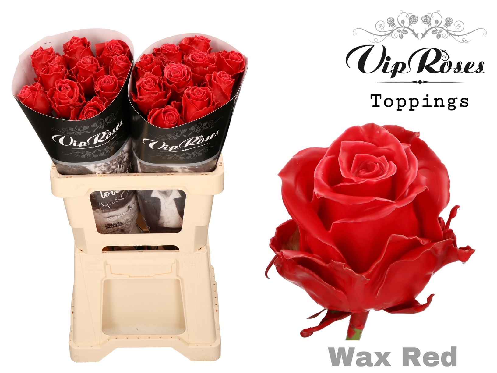 Срезанные цветы оптом Rosa la wax red от 20шт из Голландии с доставкой по России