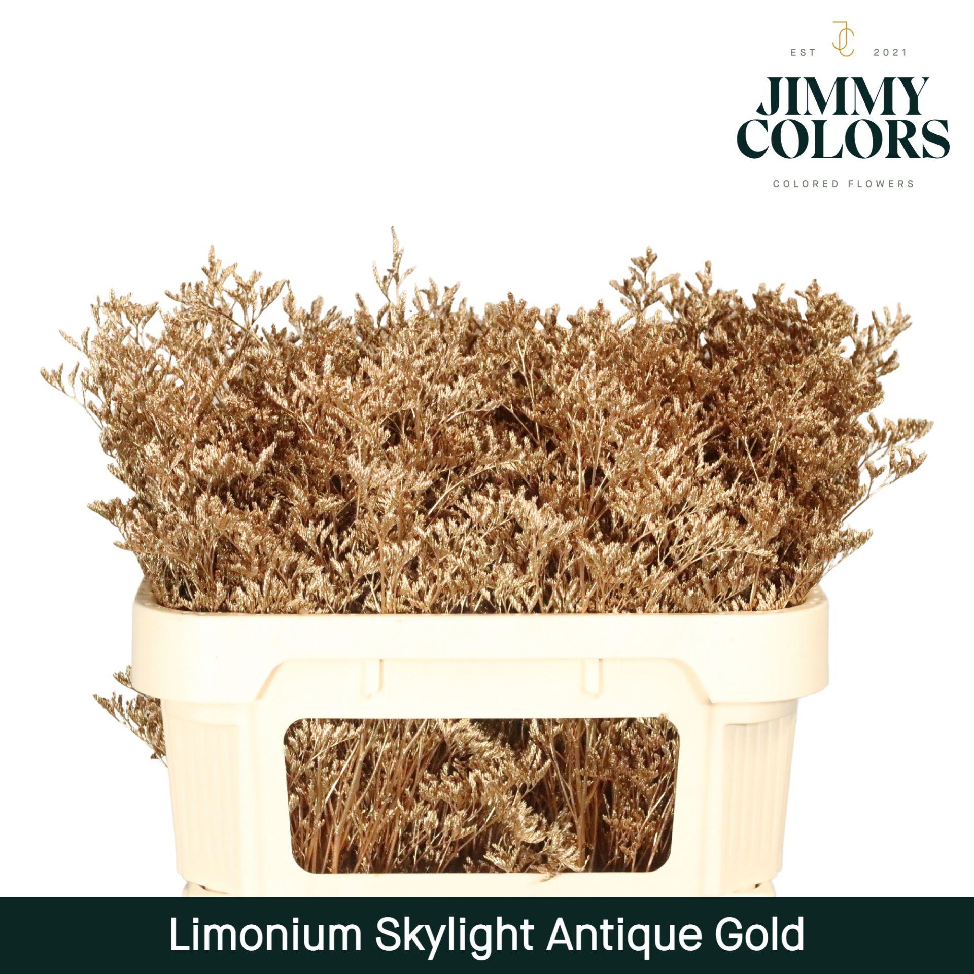 Срезанные цветы оптом Limonium paint antique gold от 25шт из Голландии с доставкой по России