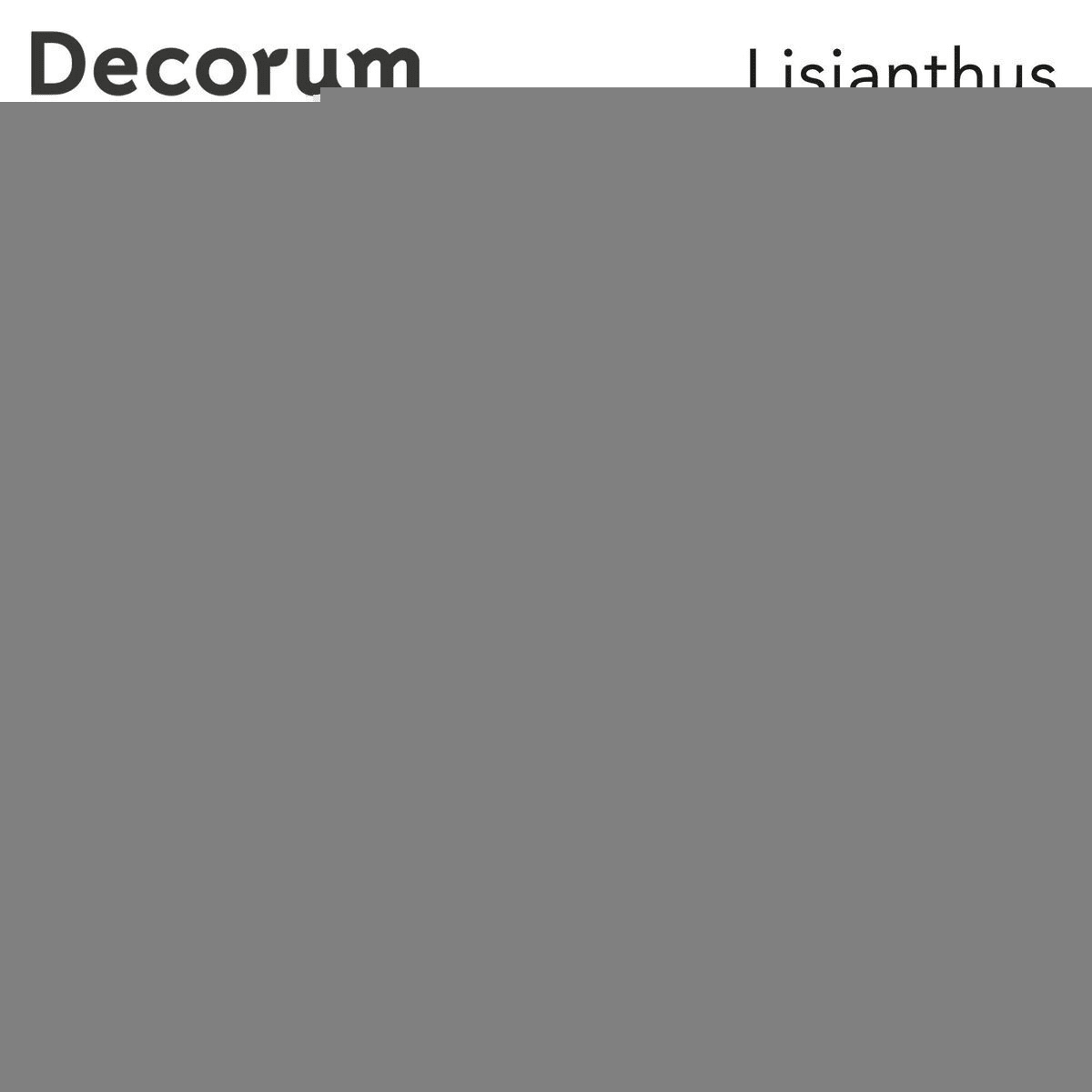 Срезанные цветы оптом Lisianthus do botanic apricot от 140шт.. из Голландии с доставкой по России