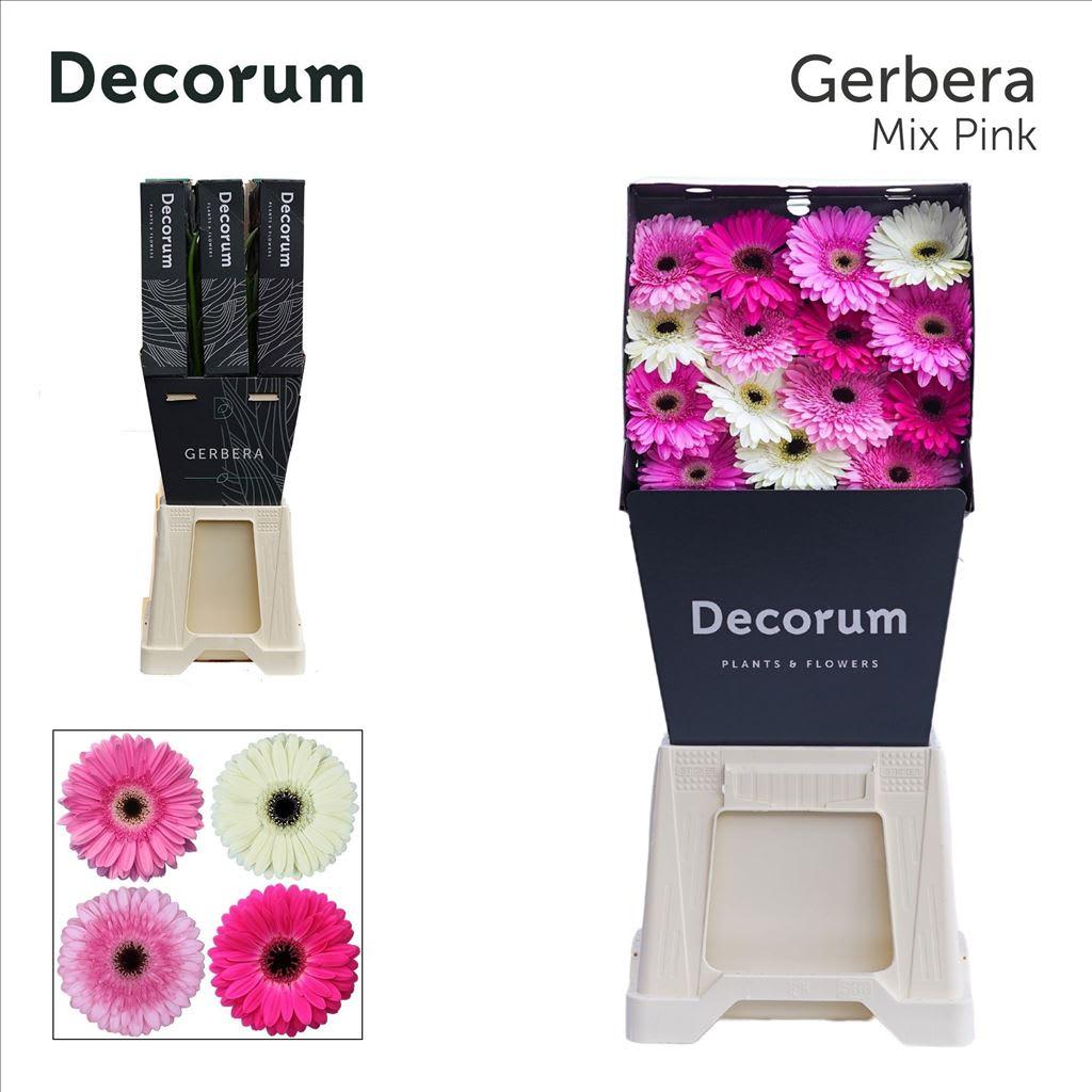 Срезанные цветы оптом Gerbera diamond mix pink от 45шт из Голландии с доставкой по России