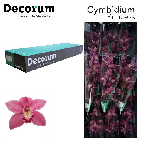 Срезанные цветы оптом Cymbidium pink may monique princess от 9шт. из Голландии с доставкой по России