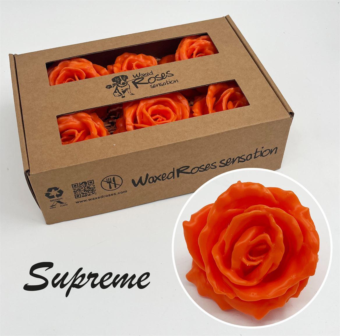 Срезанные цветы оптом Rosa large silk wax orange от 6шт из Голландии с доставкой по России