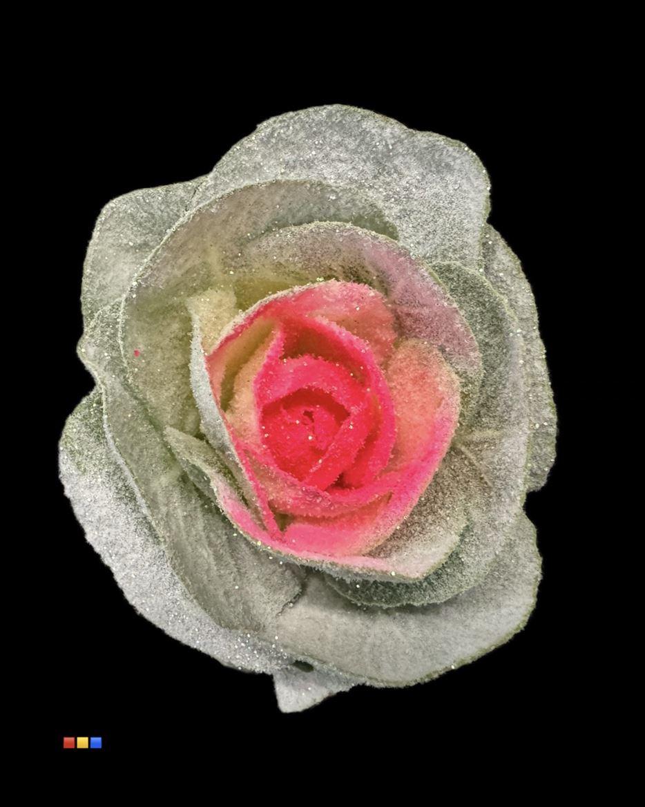 Срезанные цветы оптом Brassica paint marshmallow pink neon от 20шт из Голландии с доставкой по России