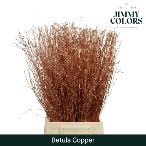 Срезанные цветы оптом Betula paint copper от 20шт из Голландии с доставкой по России