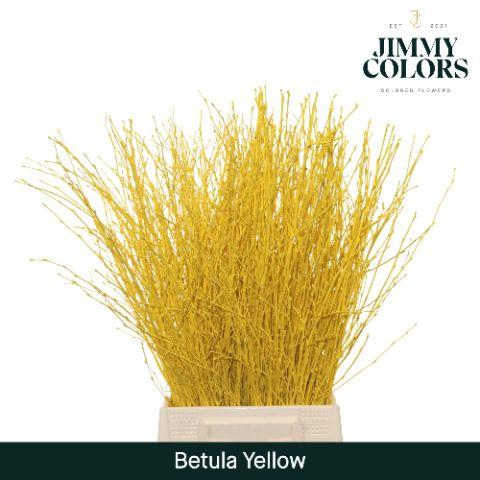 Срезанные цветы оптом Betula paint yellow от 20шт из Голландии с доставкой по России