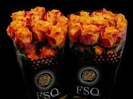 Срезанные цветы оптом Rosa ec silantoi от 40шт. из Голландии с доставкой по России