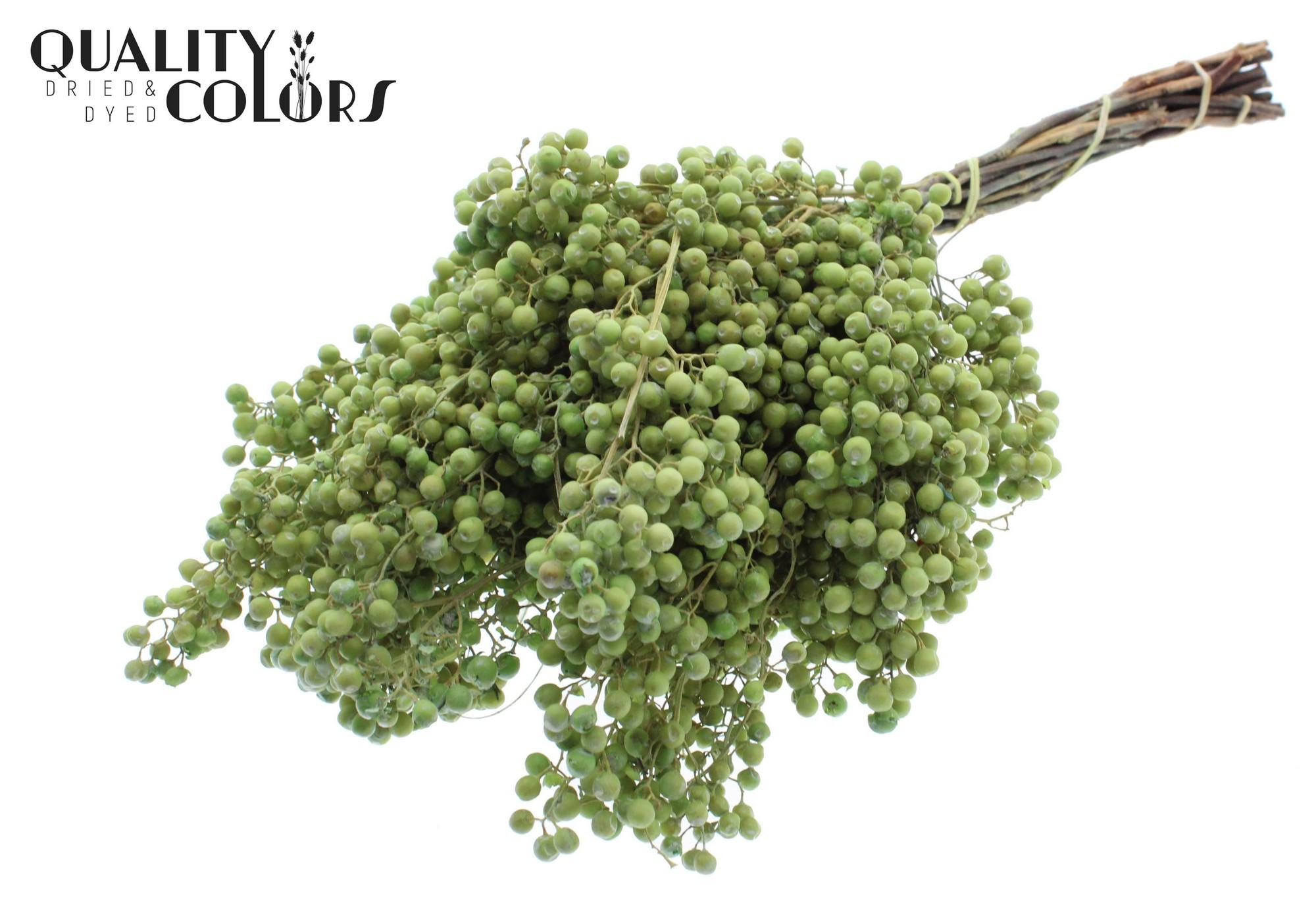 Срезанные цветы оптом Pepperberries per bunch in poly Light Green от 5шт из Голландии с доставкой по России