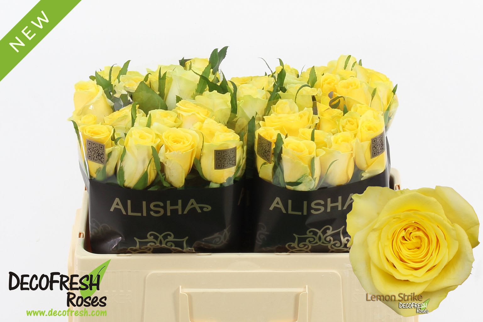 Срезанные цветы оптом Rosa large lemon strike от 50шт из Голландии с доставкой по России