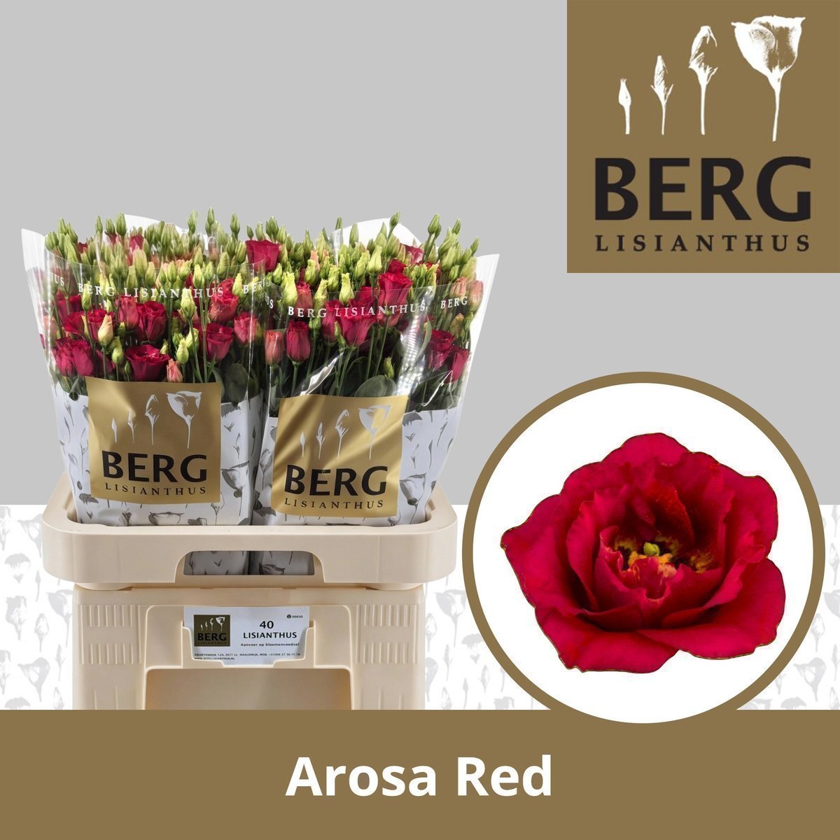 Срезанные цветы оптом Lisianthus do arosa red от 40шт из Голландии с доставкой по России