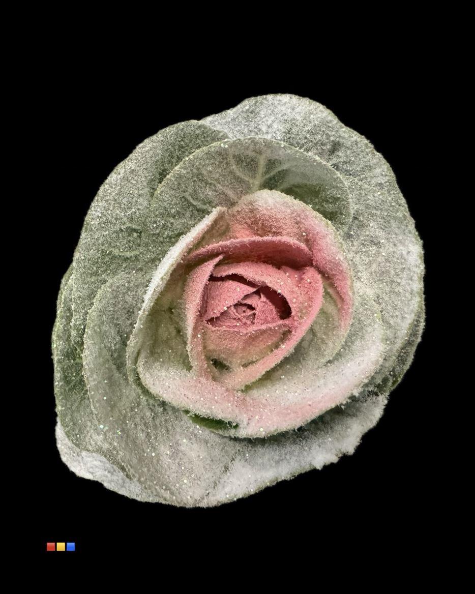 Срезанные цветы оптом Brassica paint marshmallow pink от 20шт из Голландии с доставкой по России