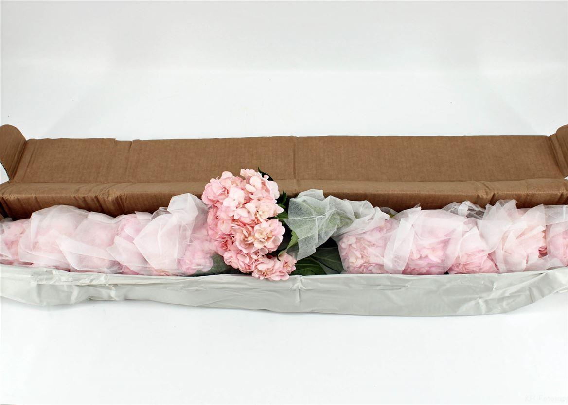 Срезанные цветы оптом Hydrangea pink absorbed от 12шт. из Голландии с доставкой по России