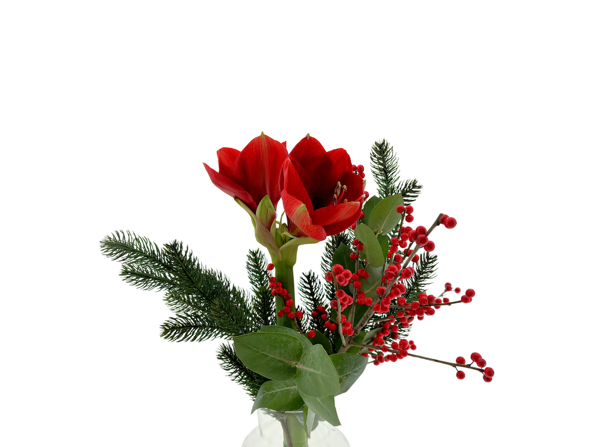 Срезанные цветы оптом BQ Santa от 6шт из Голландии с доставкой по России