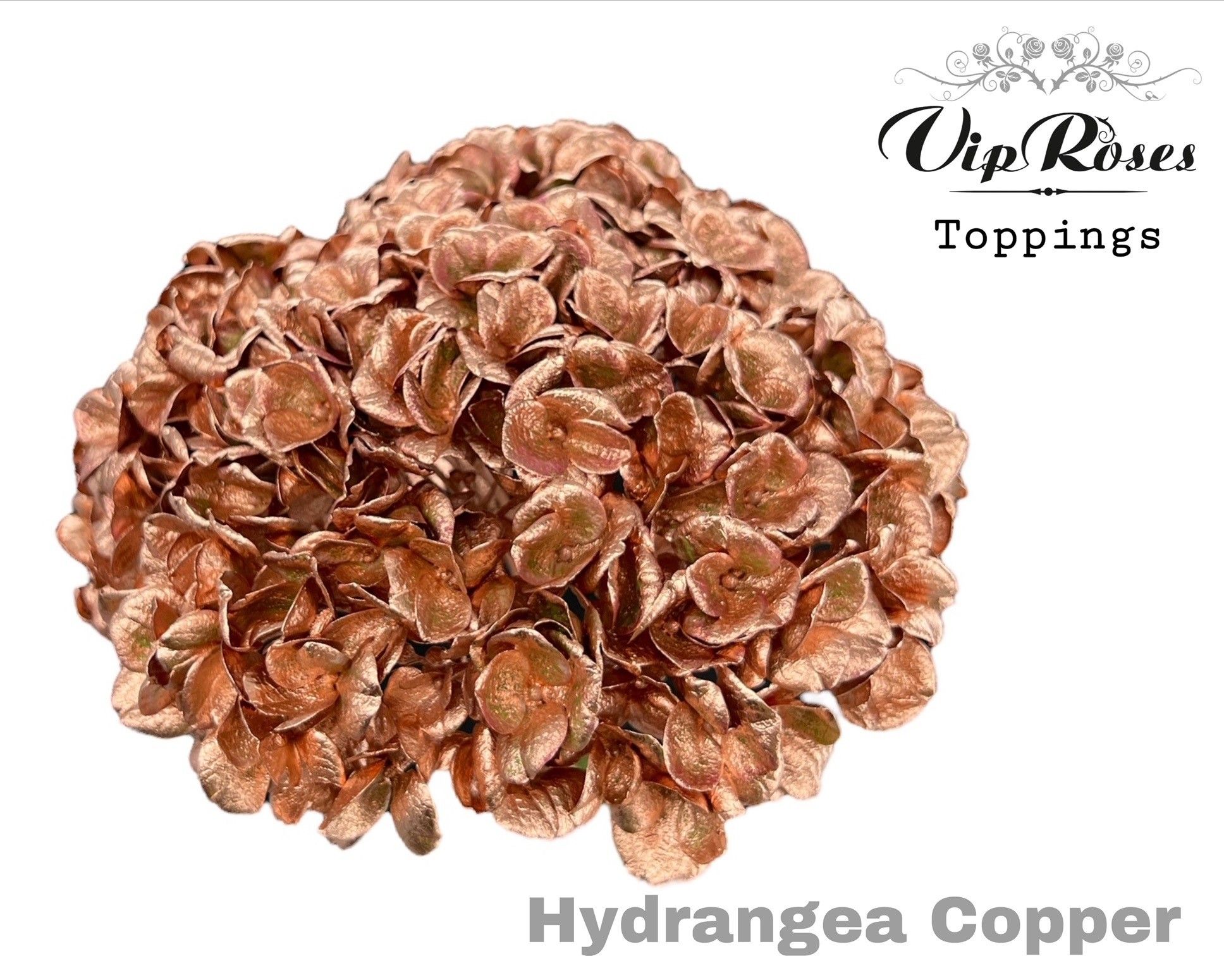 Срезанные цветы оптом Hydrangea paint copper от 10шт из Голландии с доставкой по России