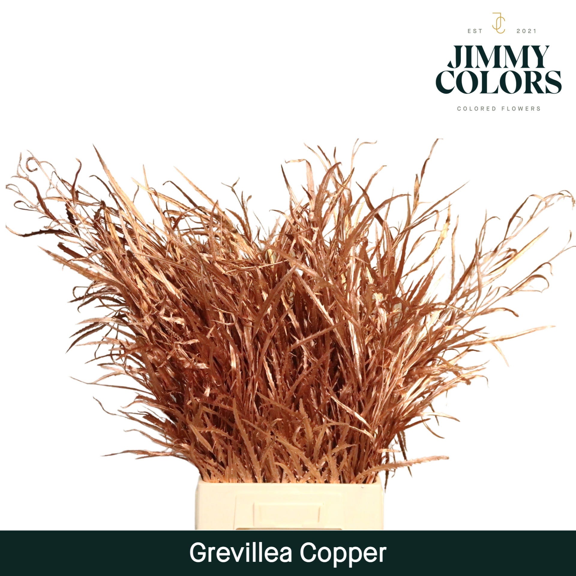 Срезанные цветы оптом Grevillea paint copper от 10шт из Голландии с доставкой по России