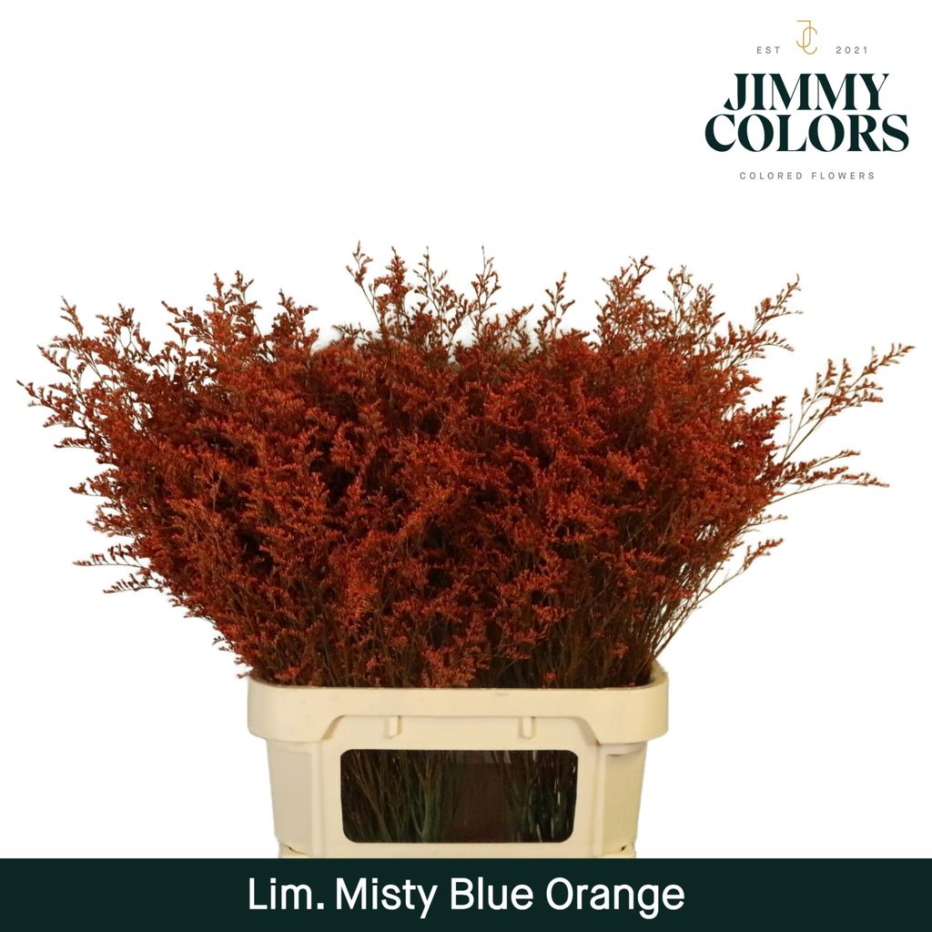 Срезанные цветы оптом Limonium misty blue paint orange от 50шт из Голландии с доставкой по России