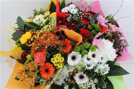 Срезанные цветы оптом Bouquet germini mix in bucket от 5шт из Голландии с доставкой по России