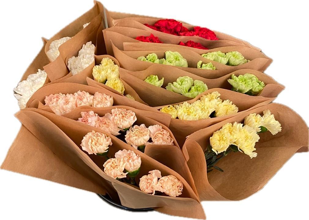 Срезанные цветы оптом Bq Mono Carnation Colombia mix 5-er от 15шт из Голландии с доставкой по России