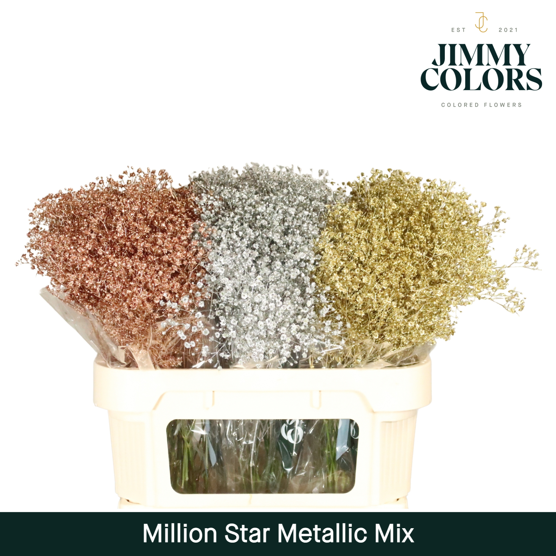 Срезанные цветы оптом Gyps fine paint mix metallic от 75шт из Голландии с доставкой по России