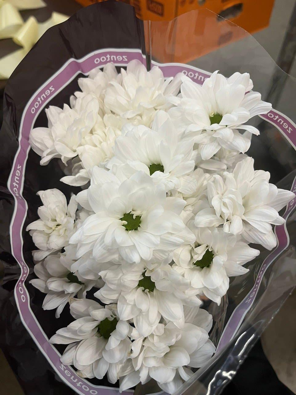 Срезанные цветы оптом Chrys sp caroline от 80шт из Голландии с доставкой по России