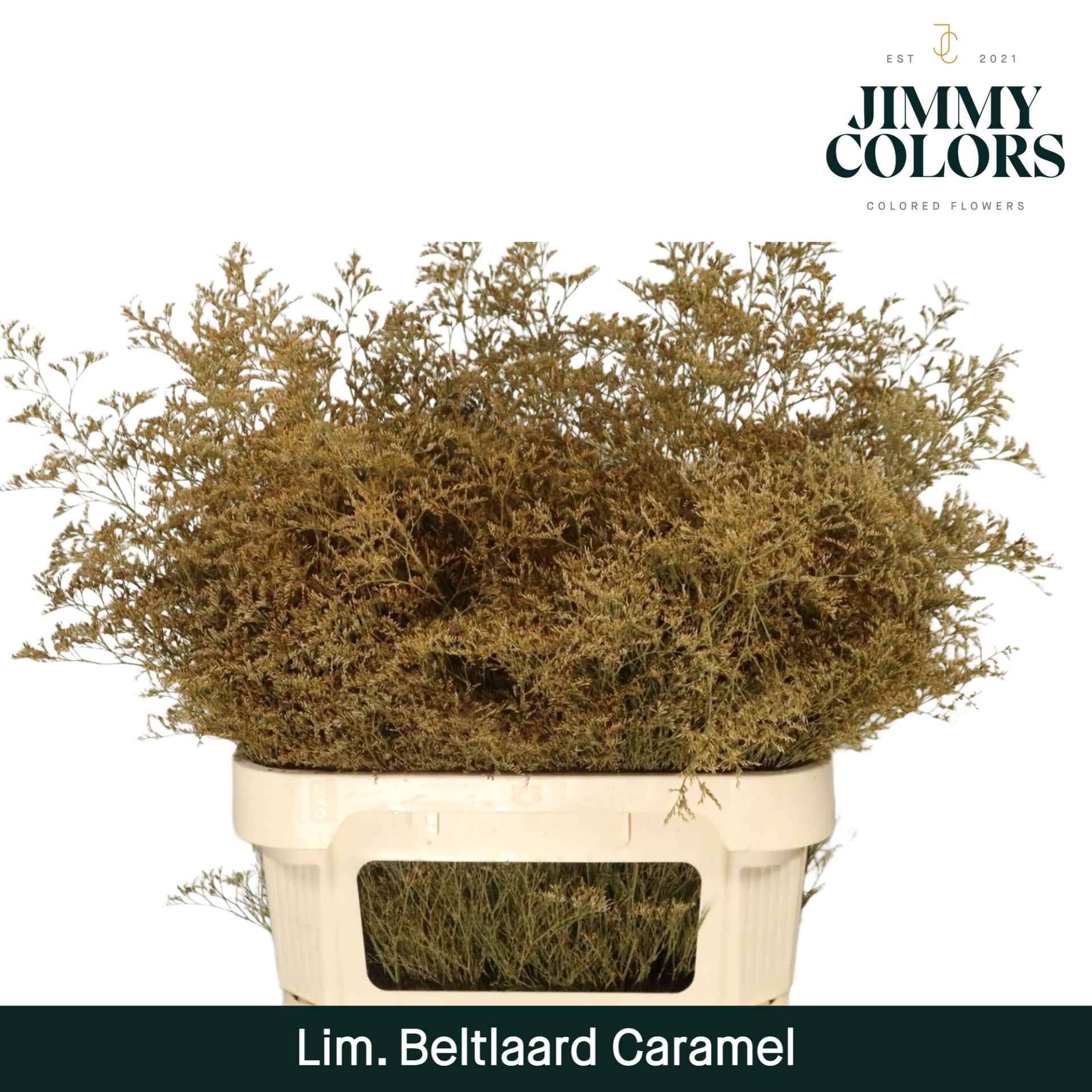 Срезанные цветы оптом Limonium paint caramel от 25шт из Голландии с доставкой по России