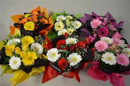 Срезанные цветы оптом Bouquet aqua foil mix от 3шт из Голландии с доставкой по России