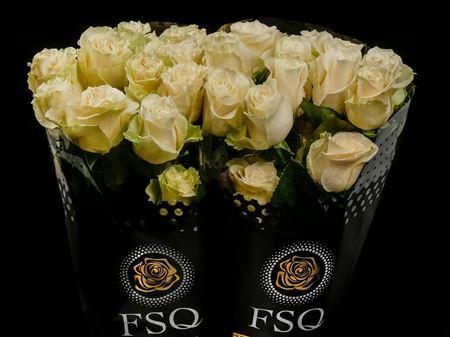 Срезанные цветы оптом Rosa ec mondial A от 40шт из Голландии с доставкой по России