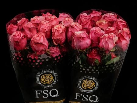 Срезанные цветы оптом Rosa ec art rose от 40шт из Голландии с доставкой по России