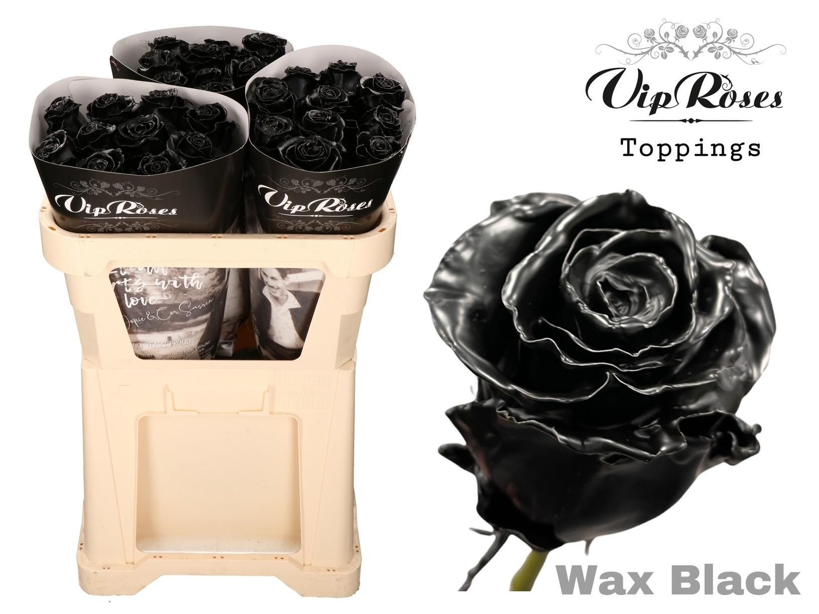 Срезанные цветы оптом Rosa large wax black от 30шт из Голландии с доставкой по России