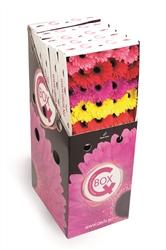 Срезанные цветы оптом Gerbera q-box mix in row от 125шт из Голландии с доставкой по России