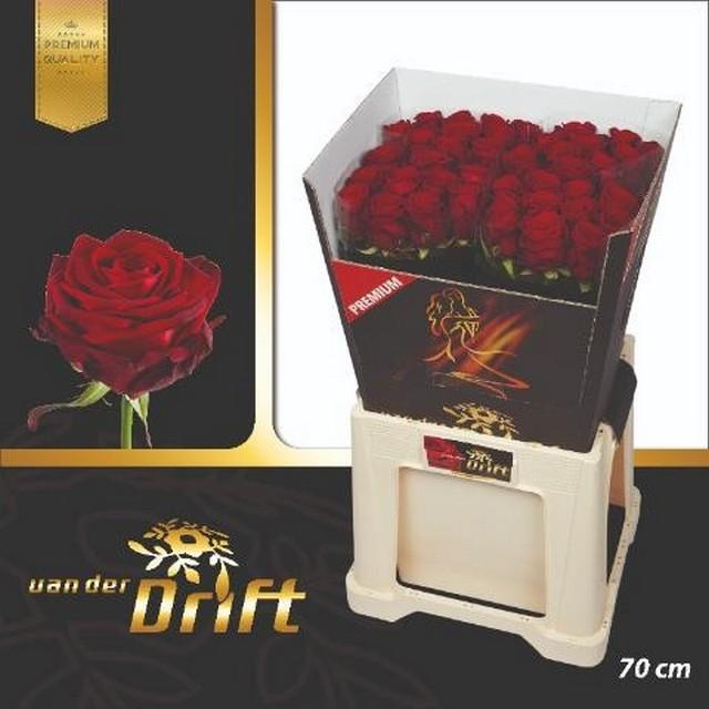 Срезанные цветы оптом Rosa large red naomi! Premium Drift от 40шт из Голландии с доставкой по России