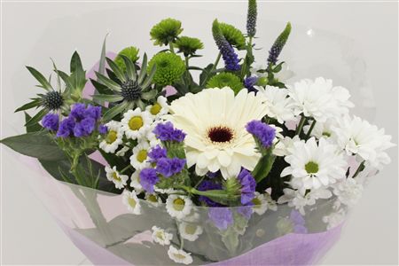Срезанные цветы оптом Bouquet 5-7 stem blue от 10шт из Голландии с доставкой по России