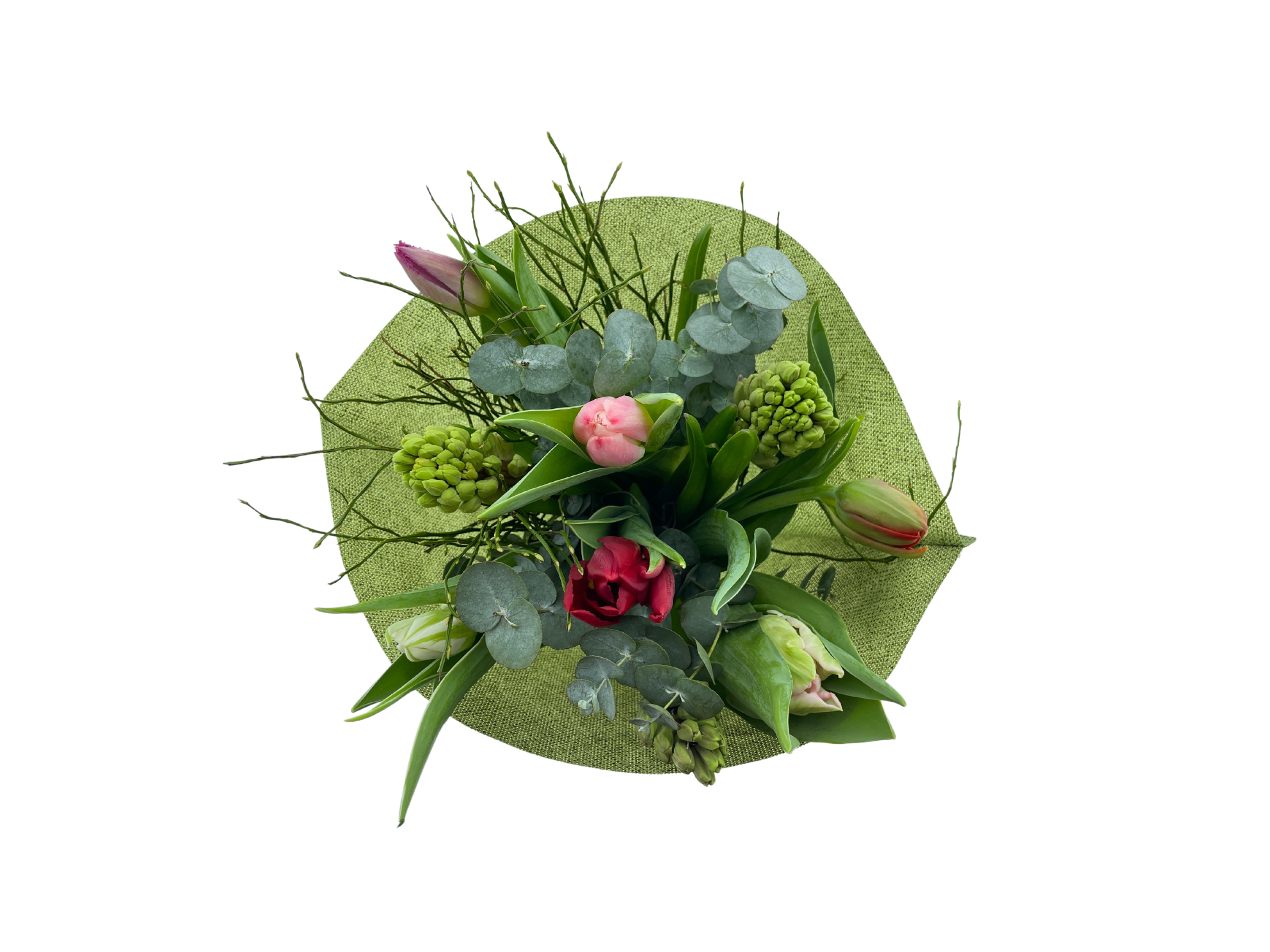 Срезанные цветы оптом BQ Tulip Deluxe от 2шт из Голландии с доставкой по России