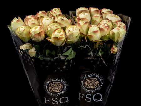 Срезанные цветы оптом Rosa ec khela dark от 40шт из Голландии с доставкой по России