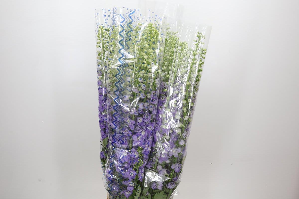 Срезанные цветы оптом Delphinium el aurora lavender от 40шт из Голландии с доставкой по России