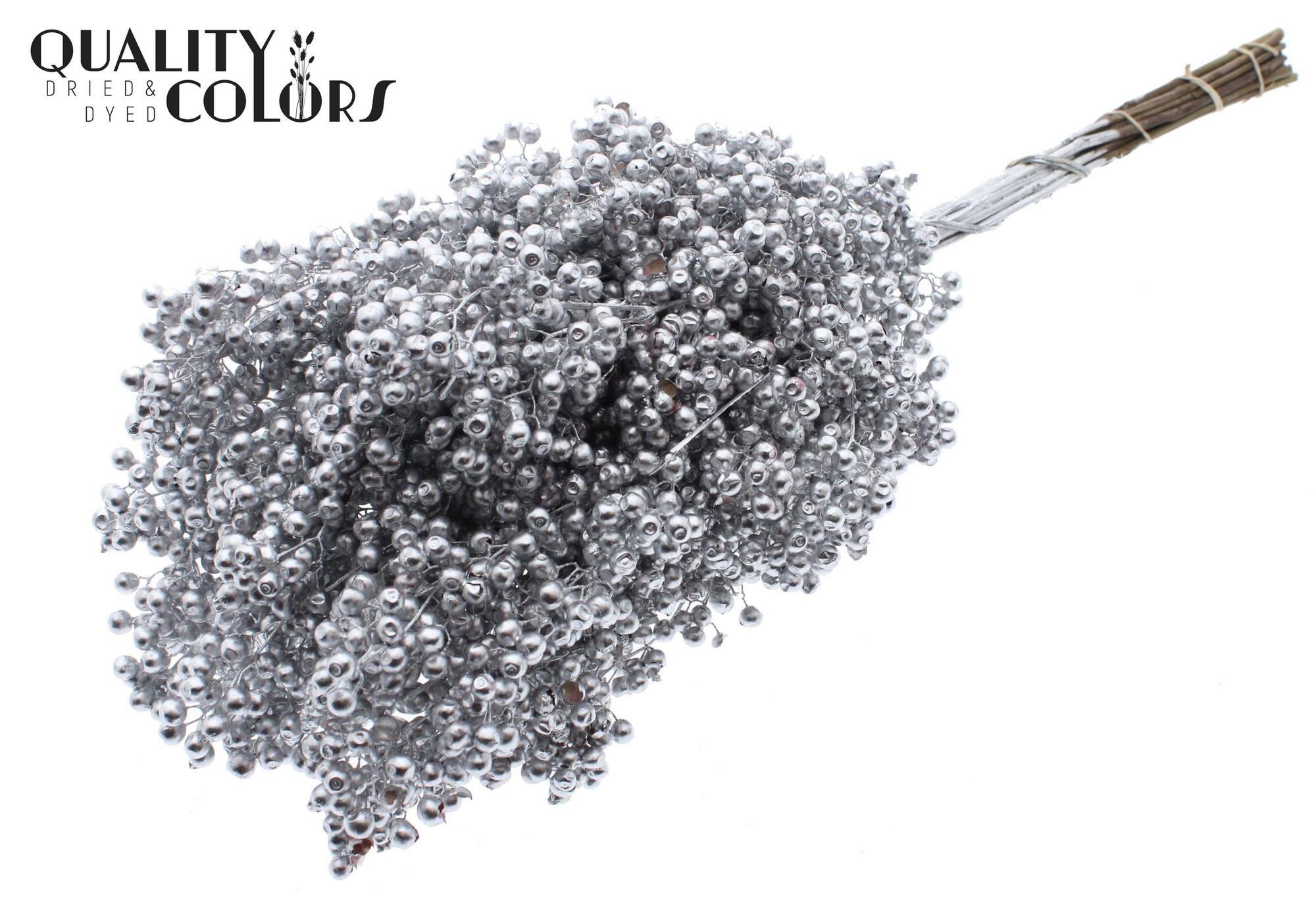 Срезанные цветы оптом Pepperberries per bunch in poly Silver от 5шт из Голландии с доставкой по России