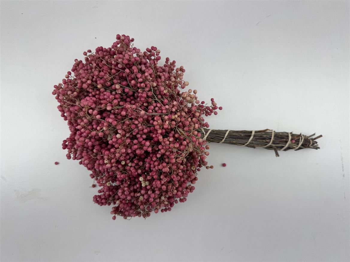 Срезанные цветы оптом Schinus mollis от 12шт из Голландии с доставкой по России