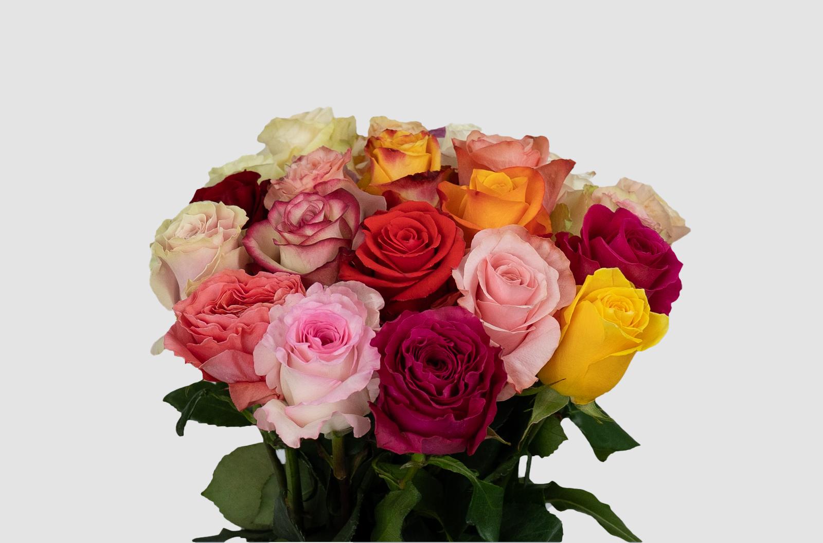 Срезанные цветы оптом Rosa ec mix rainbow (mixbunch) от 250шт. из Голландии с доставкой по России