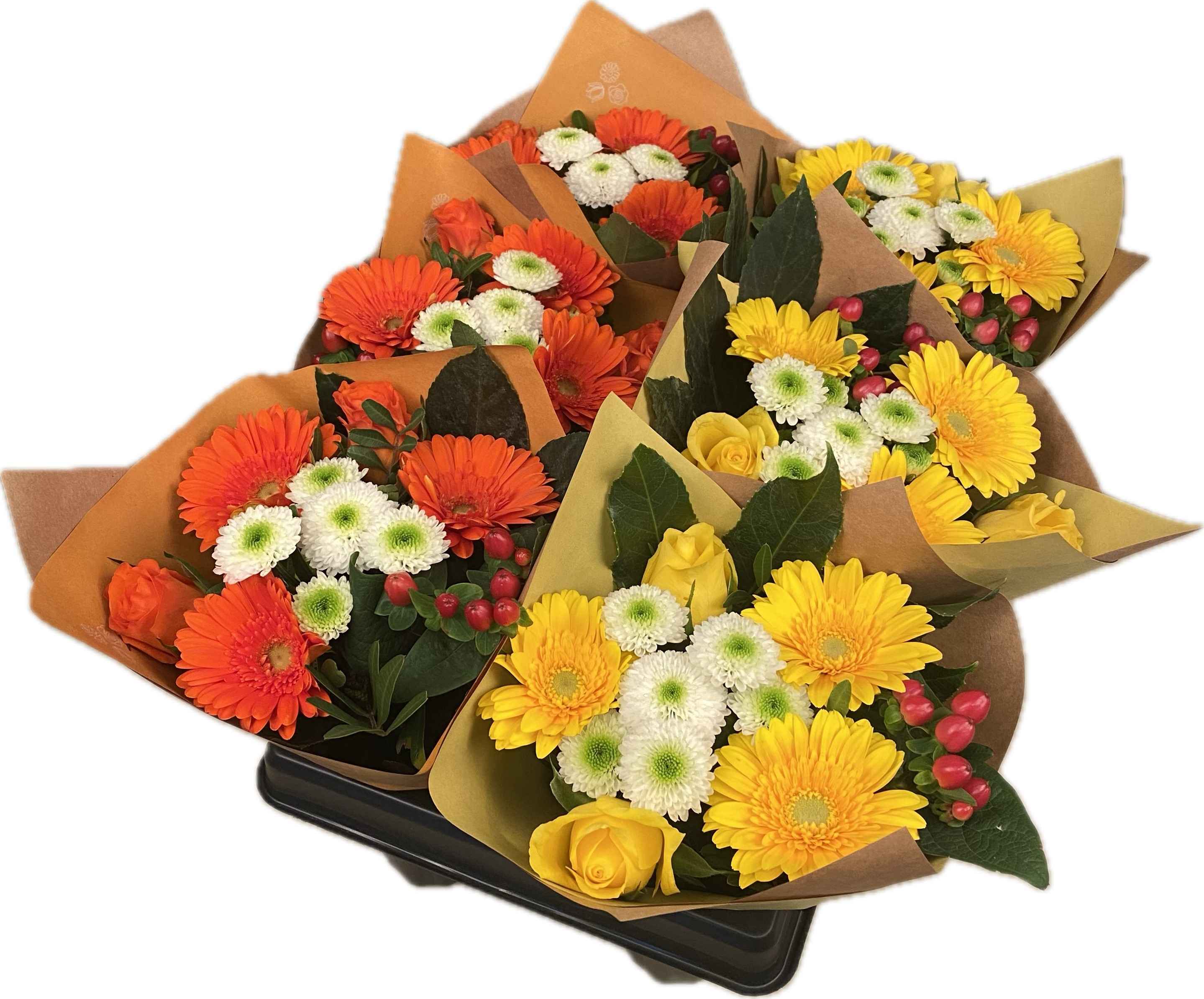 Срезанные цветы оптом Bouquet sixpack hot от 6шт из Голландии с доставкой по России