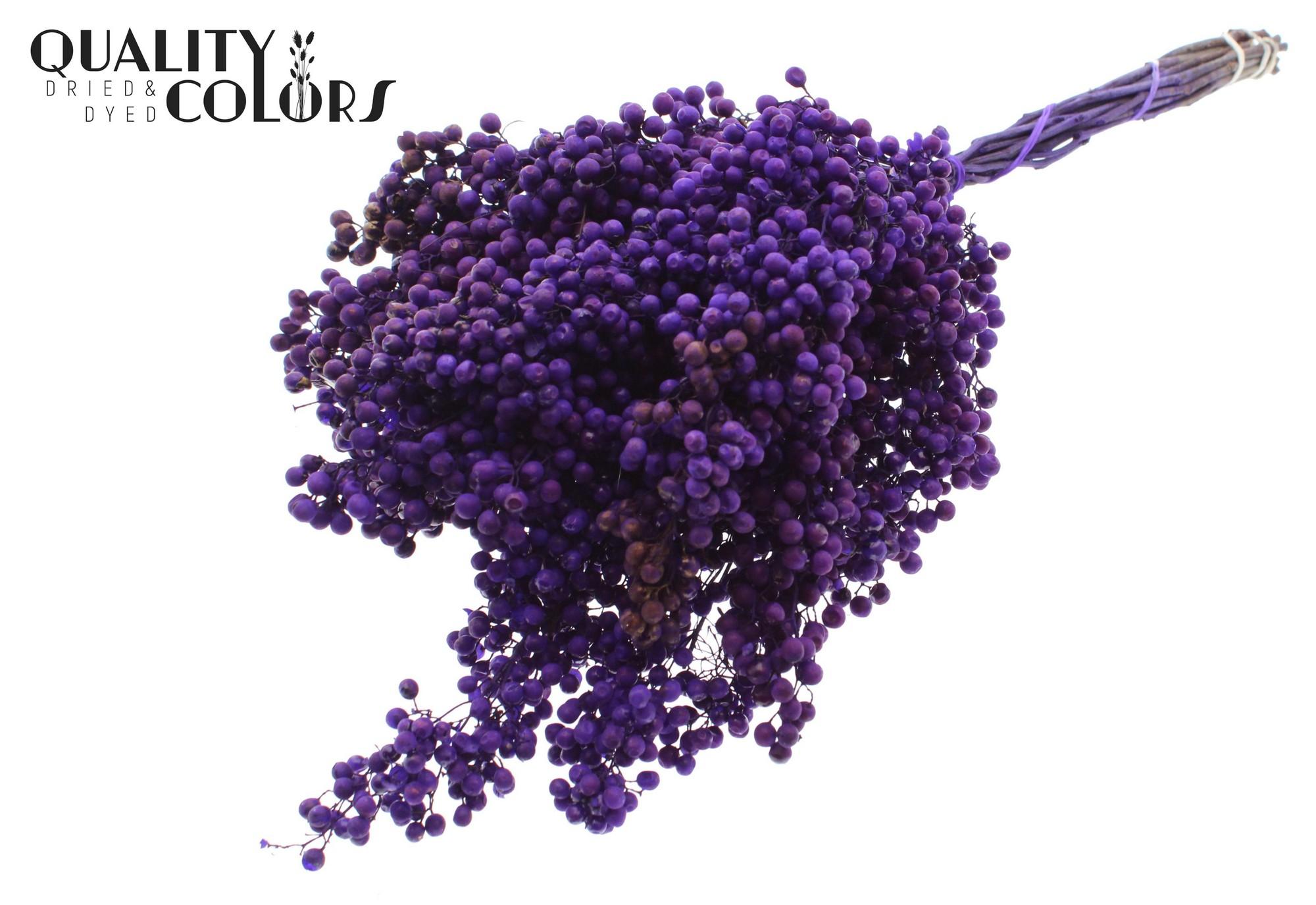Срезанные цветы оптом Pepperberries per bunch in poly Purple от 5шт из Голландии с доставкой по России