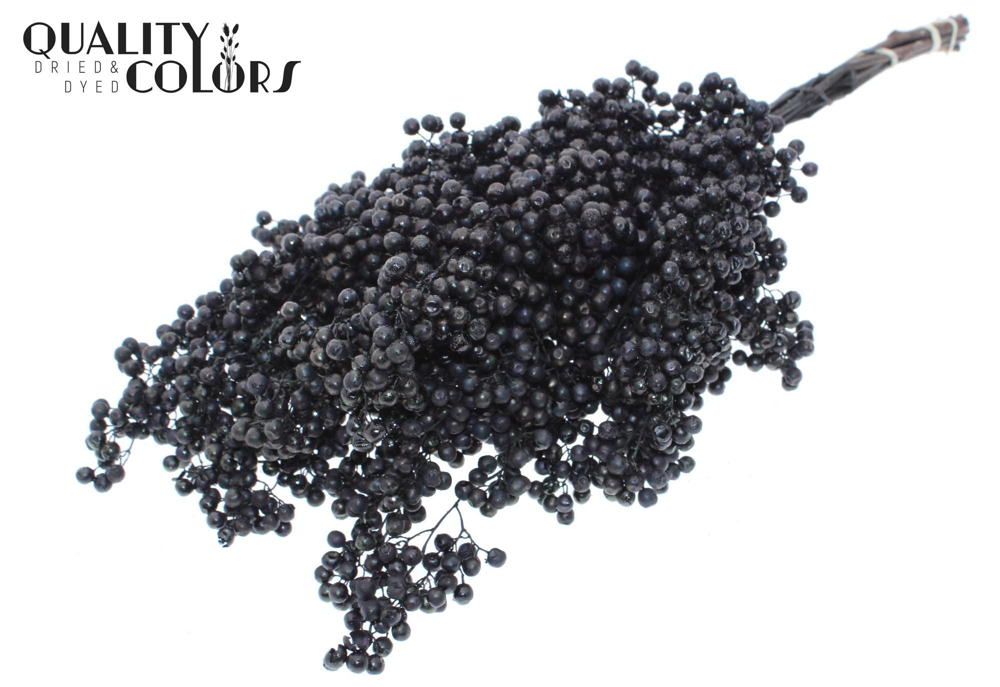 Срезанные цветы оптом Pepperberries per bunch in poly Black + Glitter от 5шт из Голландии с доставкой по России