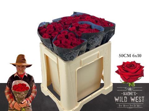 Срезанные цветы оптом Rosa large red naomi! Wild West от 60шт из Голландии с доставкой по России