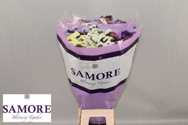 Срезанные цветы оптом Statice rainbow (mixbunch) от 50шт из Голландии с доставкой по России