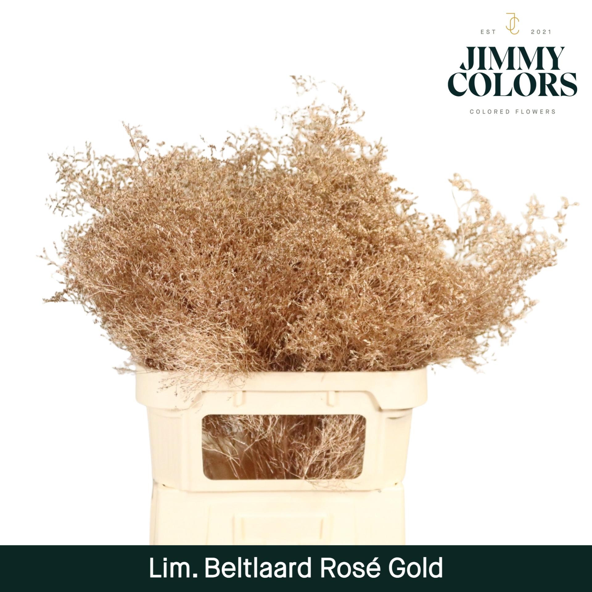 Срезанные цветы оптом Limonium beltlaard paint metallic pink gold от 25шт из Голландии с доставкой по России